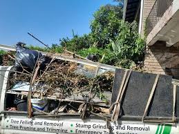 Best Property Management Cleanouts  in Mount Clemens, MI